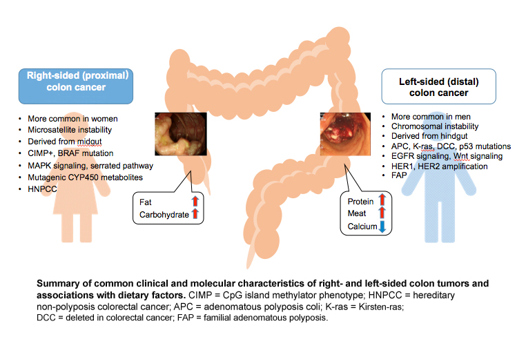 colonimage