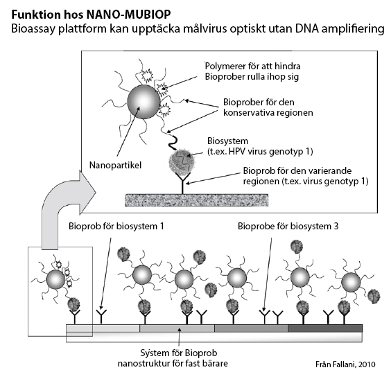 bio-probe array nanstructure on solid support