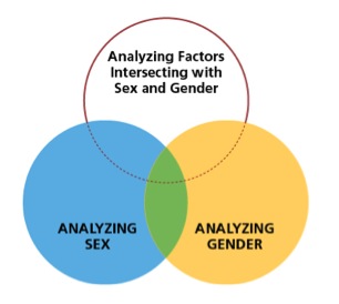 analyzing factors intersecting sex and gender