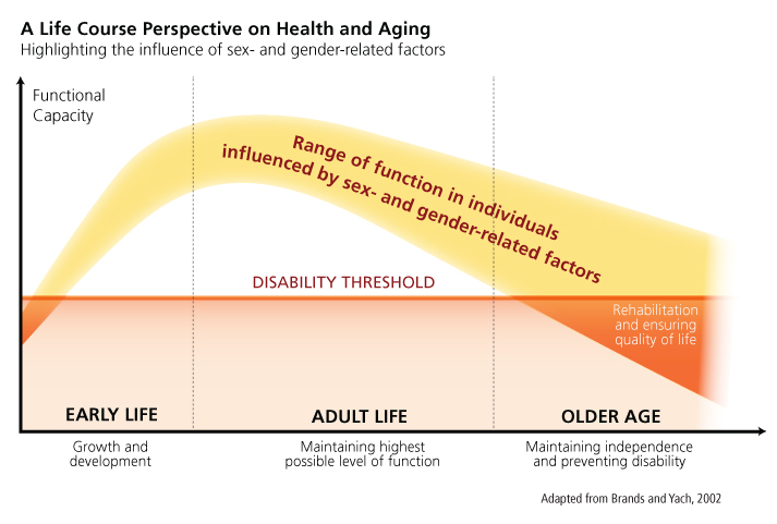 chart 2 of nutrigenomics